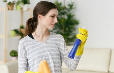 Woman housework cleaning house